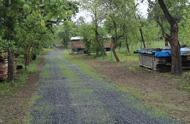 Vodohospodářské opatření v k.ú. Křivé