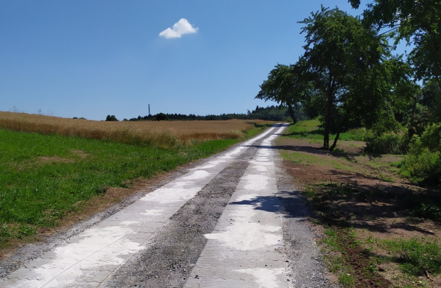 Projekty na realizace plánu společných zařízení v k.ú. Konojedy včetně AD