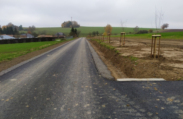 Rekonstrukce cest C14 + C30 a C20 v k.ú. Přáslavice vč. IGP